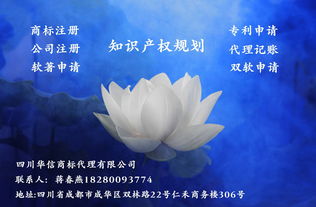 專利申請這門技術(shù)活兒 從創(chuàng)意到轉(zhuǎn)化的必修課